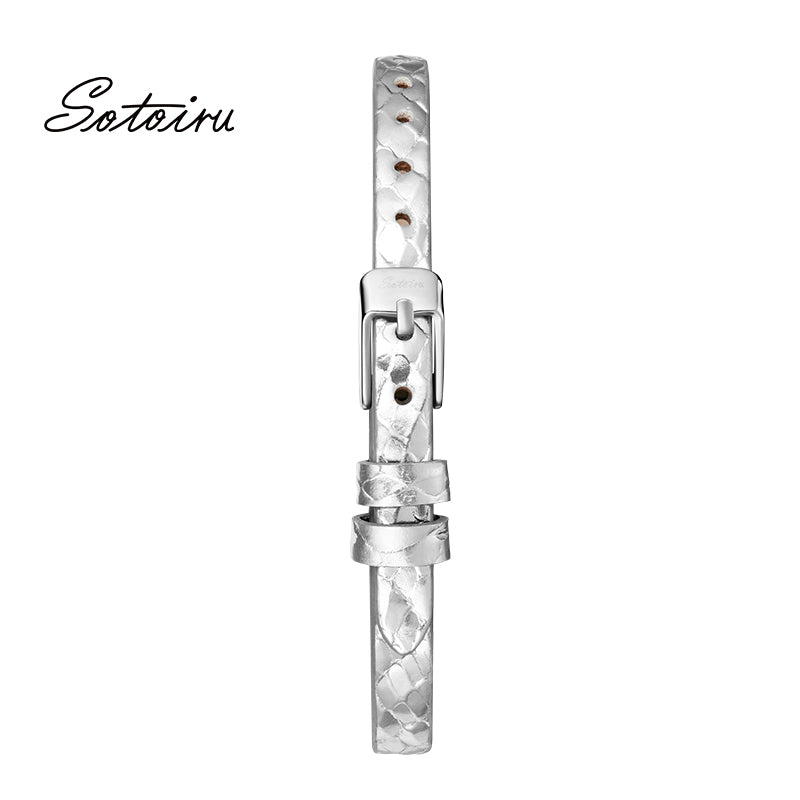 T2033W T2013W T2022W 6mm Universal Watches Strap Silver