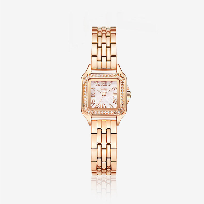 Sotoiru Quartz Watch Fashion Square Ziron Dial Watch for Formal Wear T3020