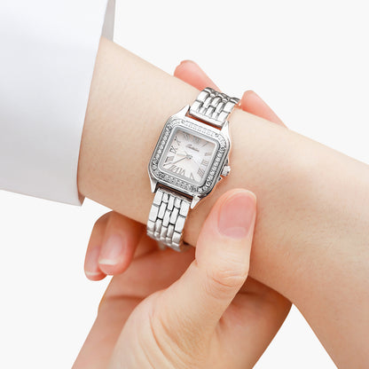 Sotoiru Quartz Watch Fashion Square Ziron Dial Watch for Formal Wear T3020